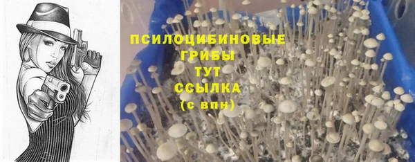 синтетический гашиш Волосово