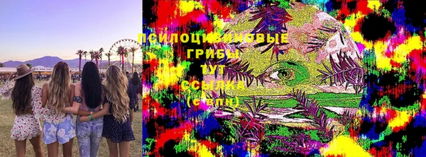spice Володарск