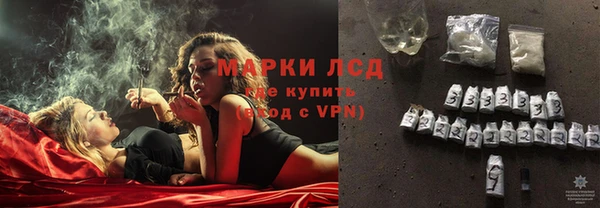 spice Володарск