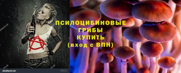 spice Володарск