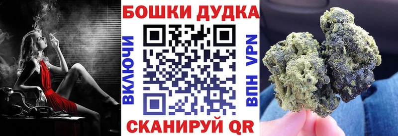 где можно купить наркотик  Сыктывкар  Бошки Шишки Amnesia 